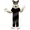 Grey Wolf Husky Mascot Costumes Cartoon