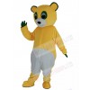 Bear mascot costume