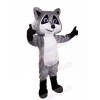 Cute Grey Raccoon Mascot Costumes Cartoon