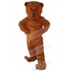 Bear mascot costume
