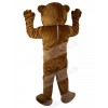 Bear mascot costume