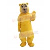 Bear mascot costume