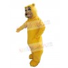 Bear mascot costume
