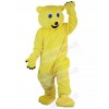 Bear mascot costume