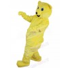 Bear mascot costume