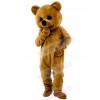 Bear mascot costume