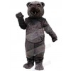 Bear mascot costume