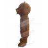 Bear mascot costume