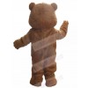 Bear mascot costume