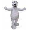 Bear mascot costume