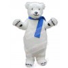 Bear mascot costume