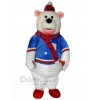 Bear mascot costume