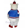 Bear mascot costume