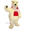 Bear mascot costume