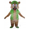 Bear mascot costume