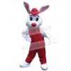 Easter Bunny Rabbit mascot costume