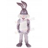 Easter Bunny Rabbit mascot costume