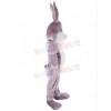 Easter Bunny Rabbit mascot costume