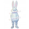Easter Bunny Rabbit mascot costume