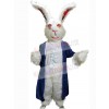 Easter Bunny Rabbit mascot costume