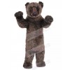 Bear mascot costume
