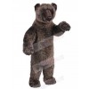 Bear mascot costume