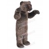 Bear mascot costume