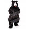 Bear mascot costume