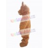 Bear mascot costume