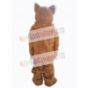 Bear mascot costume