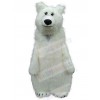 Bear mascot costume