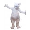 Bear mascot costume