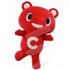 Bear mascot costume