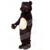 Bear mascot costume