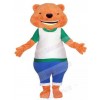 Bear mascot costume