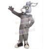 Easter Bunny Rabbit mascot costume