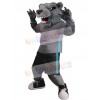 Bear mascot costume