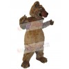 Bear mascot costume
