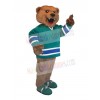Bear mascot costume