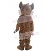 Coyote mascot costume