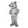 Wolf mascot costume