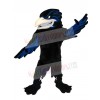 Raven mascot costume