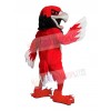 Hawk mascot costume