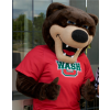 Bear mascot costume
