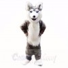 Gray Husky Dog Mascot Costumes Cartoon