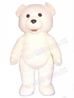 Teddy Bear mascot costume