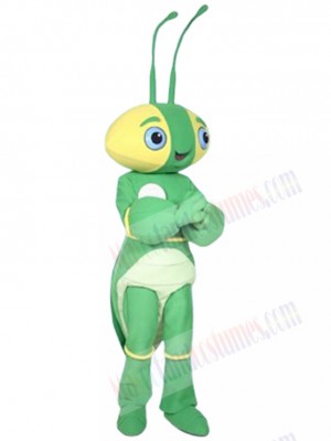 The Manty Mantis mascot costume