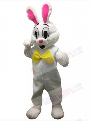 Easter Bunny Rabbit mascot costume