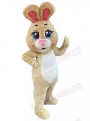 Easter Bunny Rabbit mascot costume