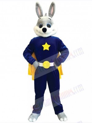 Easter Bunny Rabbit mascot costume